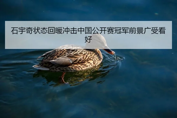 石宇奇状态回暖冲击中国公开赛冠军前景广受看好